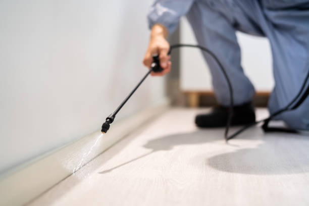 Rodent Entry Point Assessment in Chesapeake