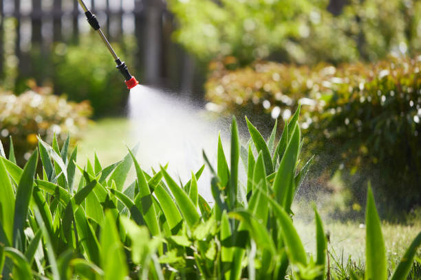 Tamper-Resistant Bait Stations for Rodents in Chesapeake
